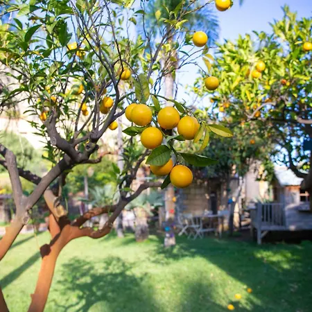Caterina - Solemar Sicilia Apartment