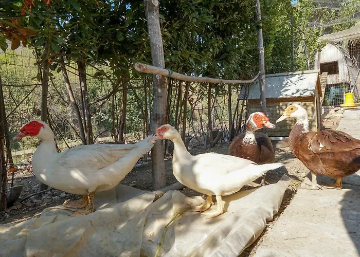 Appartement Caterina - Solemar Sicilia Cefalù