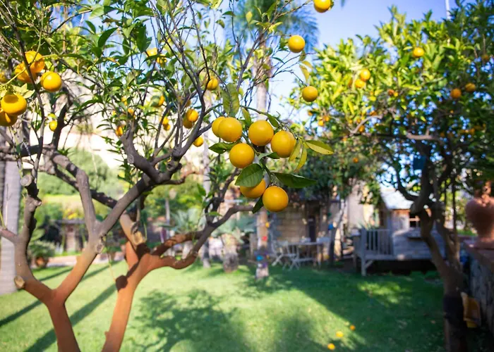Caterina - Solemar Sicilia Appartement