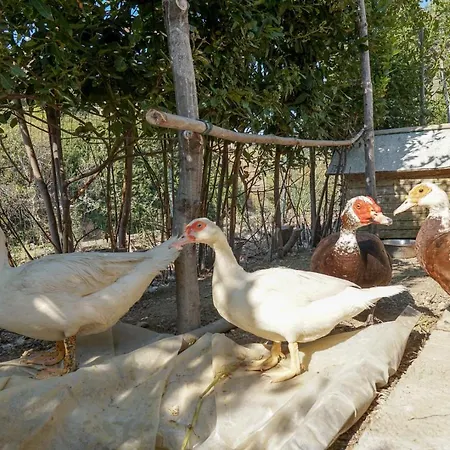 Apartament Caterina - Solemar Sicilia Cefalù