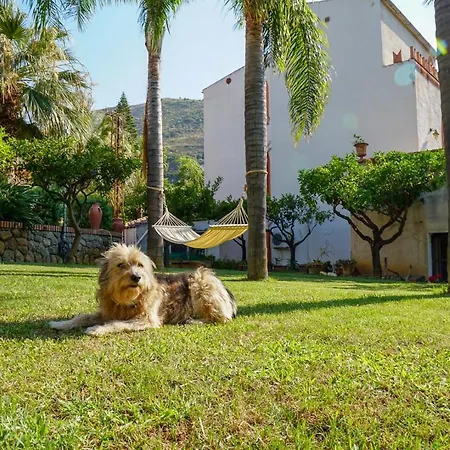 Caterina - Solemar Sicilia Appartement *