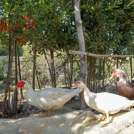 Caterina - Solemar Sicilia * Cefalù