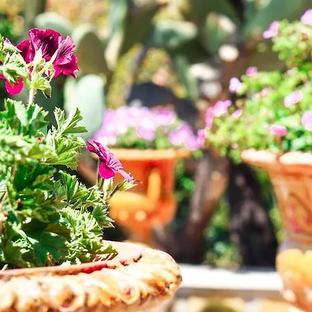 Apartament Caterina - Solemar Sicilia *