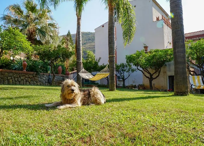 Caterina - Solemar Sicilia Apartment *