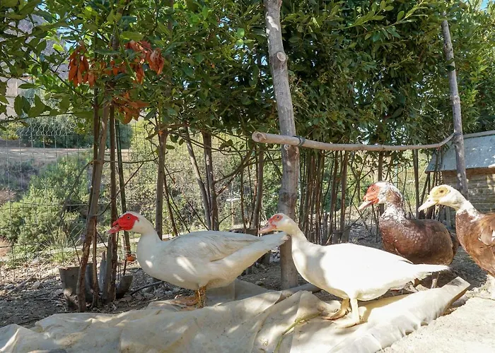 Caterina - Solemar Sicilia * Cefalu