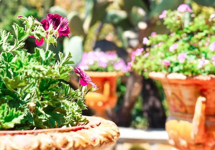 Apartment Caterina - Solemar Sicilia *